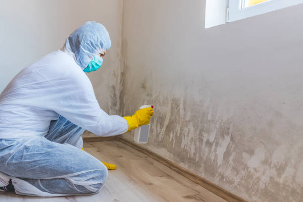 Licensed Mold Inspection service in Geneva, WA - WQB Mold Removal